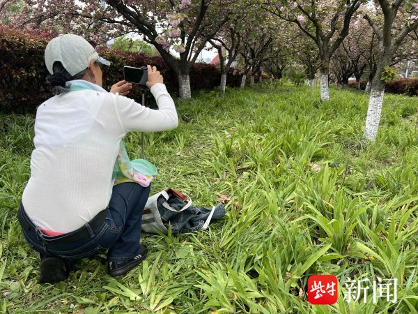 shibo体育游戏app平台为我方留住春天的靓丽身影-关于＂世博体育软件下载＂(官方)APP正式版v69.59.99